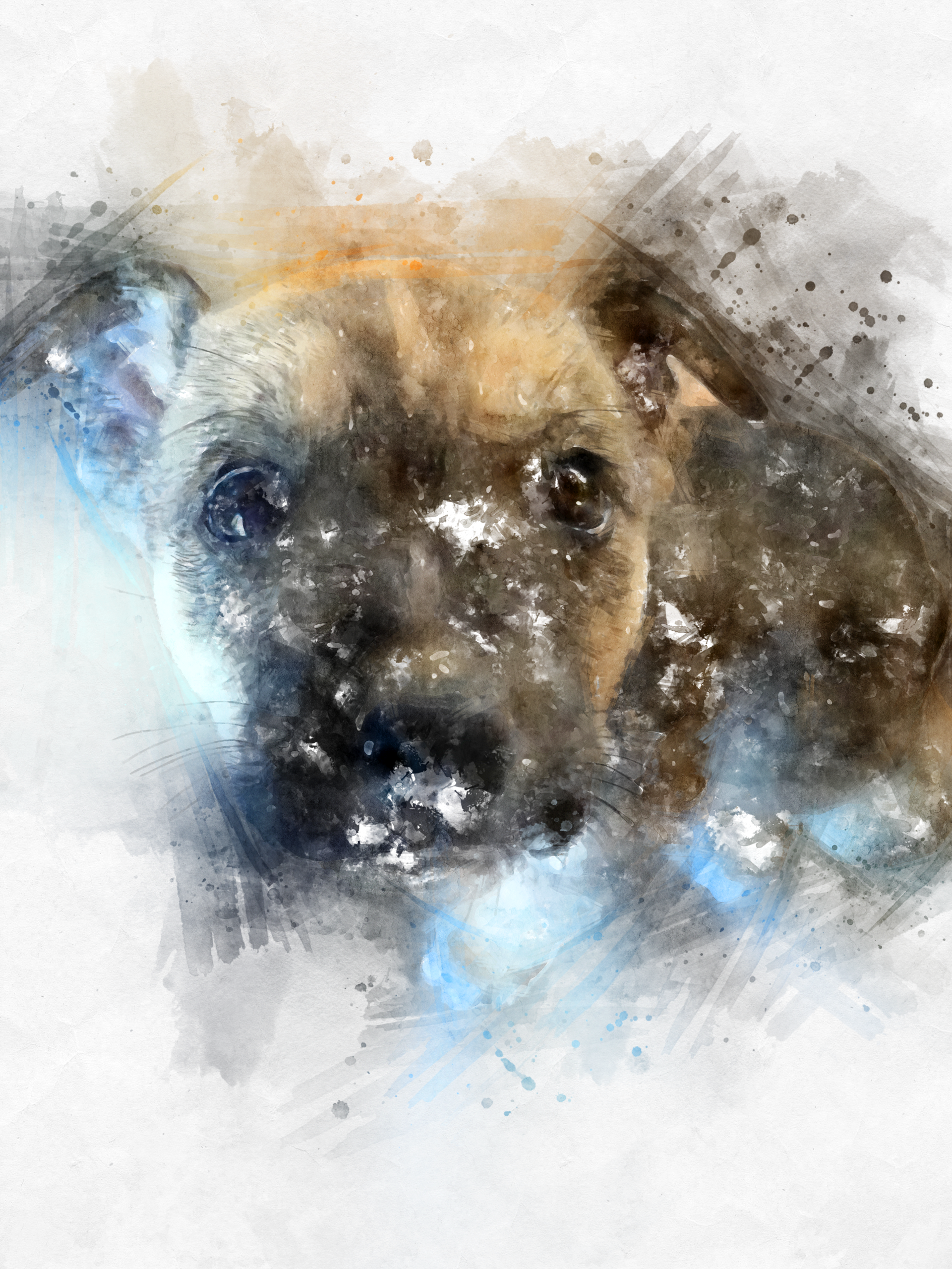 förlora-en-hund